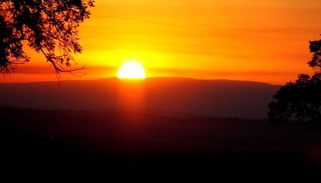 Abangane Guest Lodge Hazyview Zewnętrze zdjęcie