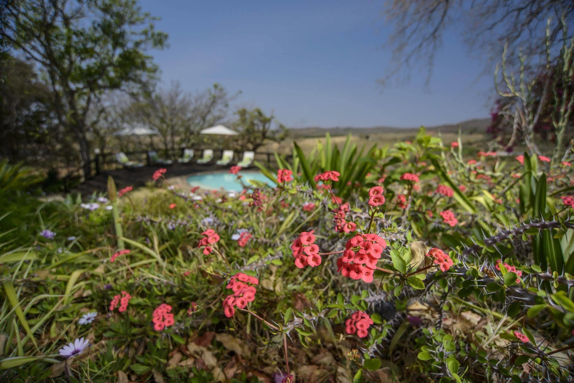 Abangane Guest Lodge Hazyview Zewnętrze zdjęcie