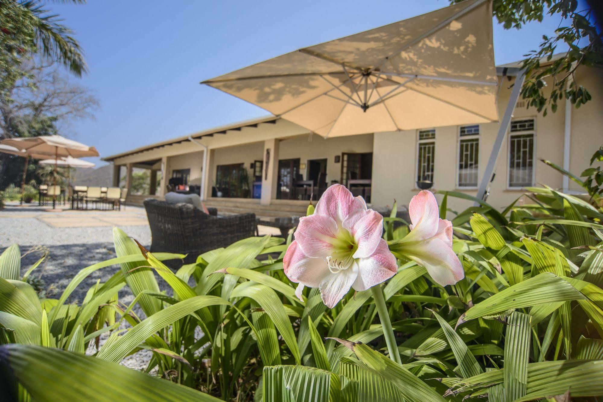 Abangane Guest Lodge Hazyview Zewnętrze zdjęcie